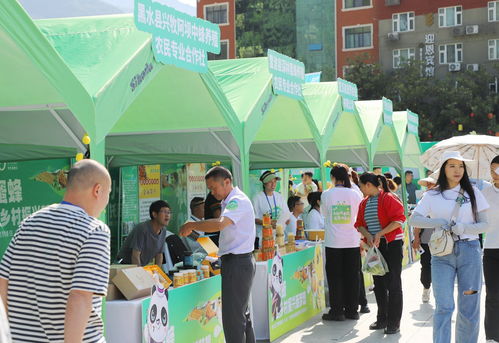 共話 甜蜜 事業(yè) 第八屆 世界蜜蜂日 5 20 主題活動在綿陽平武舉行