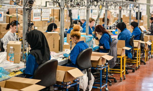 進廠打工的大學(xué)生 每天站12個小時 4年存50萬