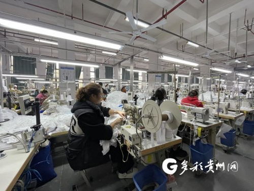 工廠建在家門口 產業就業雙豐收，職業中介活動助力發展